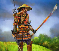 Ashigaru Armor