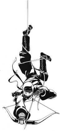 Untouchable Ninja