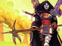 Hida Shara 1