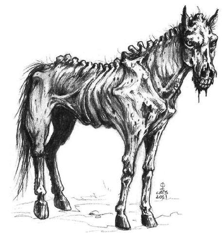File:Onikage 2.jpg