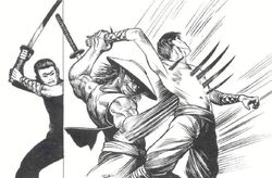 Seiko's Death