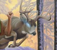 Deer