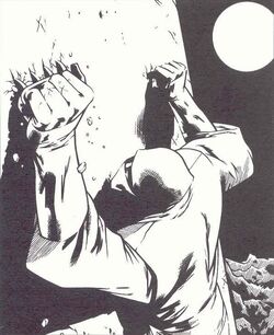 Shinobi-shuko