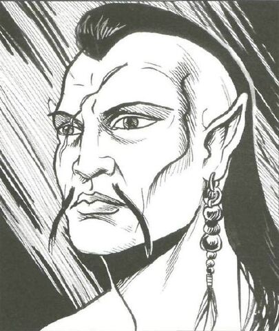 File:Radakast 4.jpg