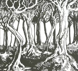 Lava Trees
