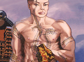 Togashi Mikoto