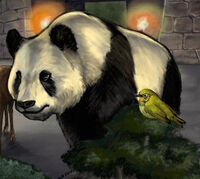 Panda 2