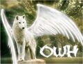 Thumbnail for version as of 03:02, September 6, 2011