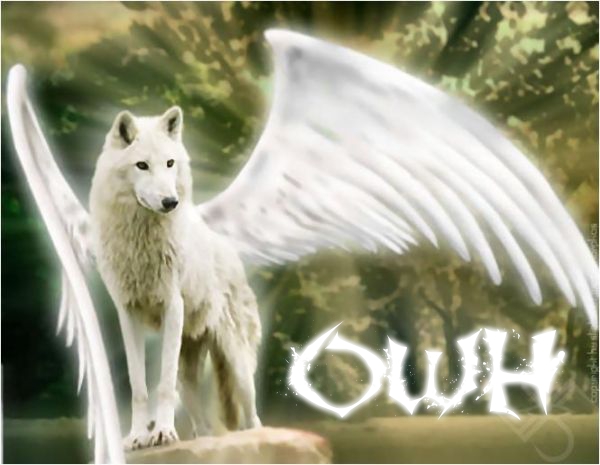 File:AngelWolfOWH.jpg