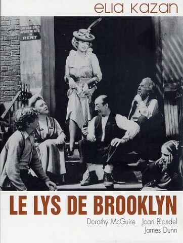 Fichier:Le lys.jpg
