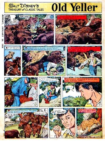 Fichier:Old yeller.jpg