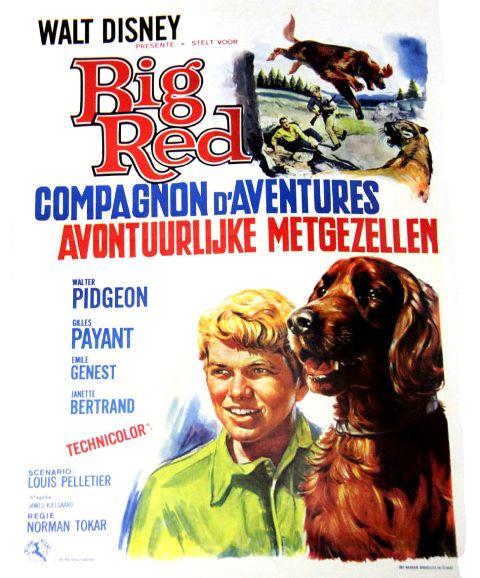 Big red fr.jpg