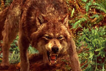 Jacob-wolf-form-twilight-series-14750775-600-400.jpg