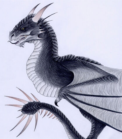 Archivo:Colacuerno Húngaro Macho.jpg
