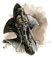 Rostro settra.jpg