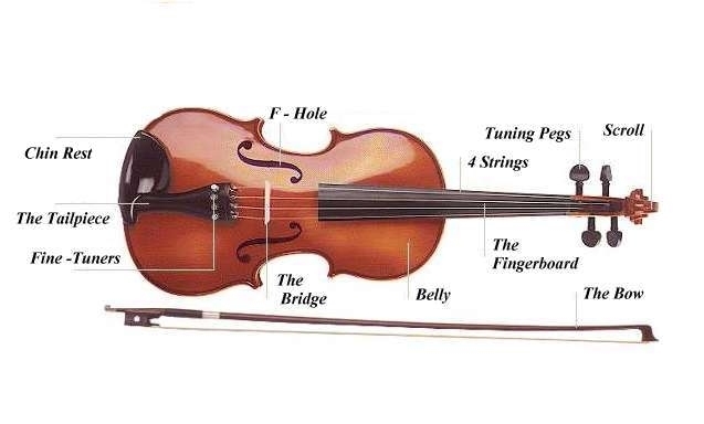 File:Violin.jpg