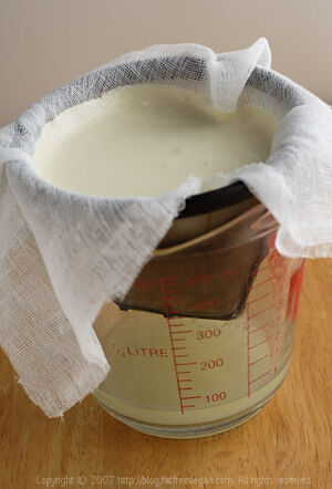 Greek style yogurt