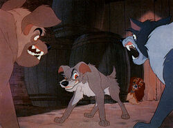 Stray dogs2