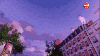 File1.gif
