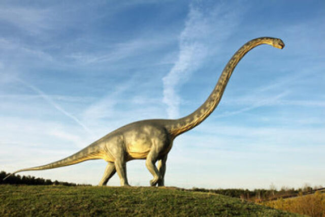 File:Sauropod pic.jpg