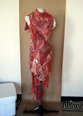 File:Meat Dress (Front).jpg