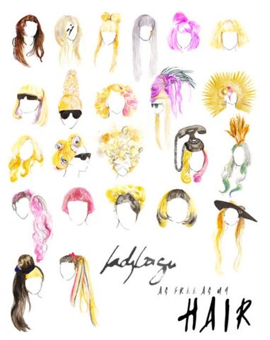 Fichier:Hair.jpg