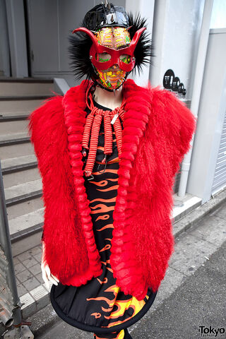 File:Dog - Coat.jpg
