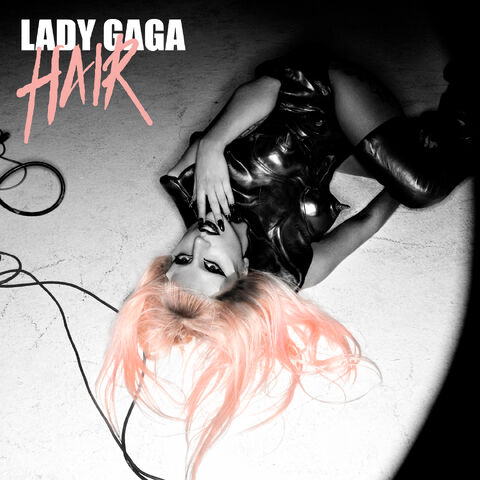 Fichier:Hair-Single.jpg