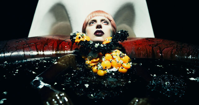 File:2-11-12 Steven Klein 010.jpg