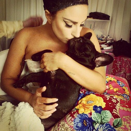 File:8-22-14 Instagram 009.jpg