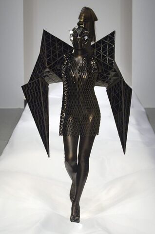 File:Gareth Pugh Spring 2007 Wings.jpg