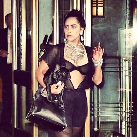File:6-13-14 Instagram 001.jpg