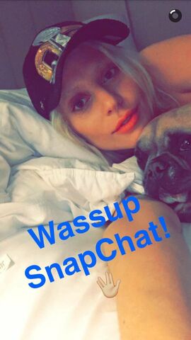 File:2-7-16 SnapChat 001.jpg
