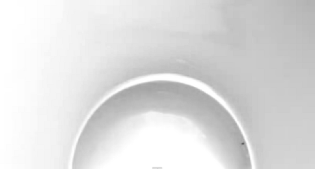 File:Toilet Film 024.png