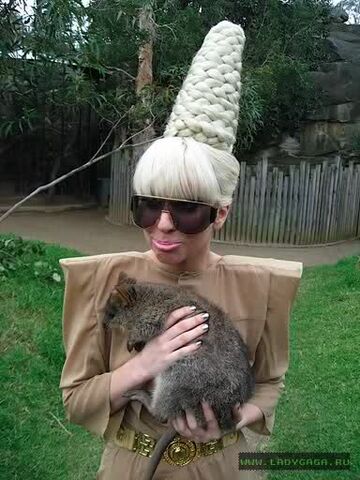 File:5-25-09 Zoo.jpg