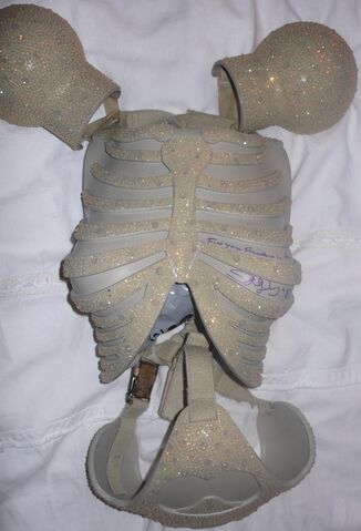 File:Charity Buzz Skeletal bodice.jpg