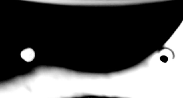 File:Toilet Film 014.png