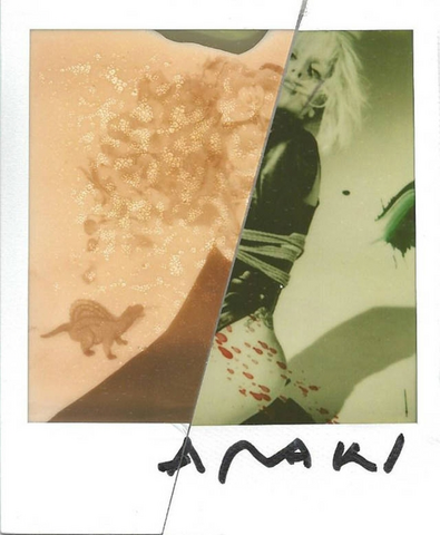 File:Artfusion05.png