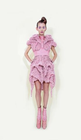 File:Long Tran - Spring-Summer 2014 Collection.jpg
