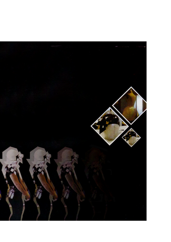 File:BOG 045.png