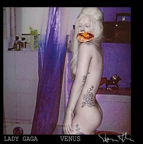 File:VENUS - Cover 002.jpeg