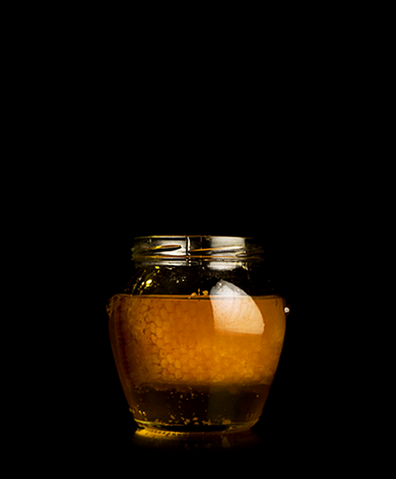 File:LADY GAGA FAME Honey.png