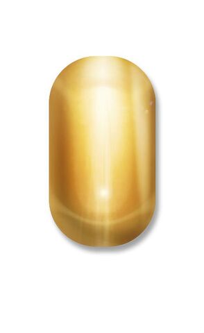 File:Minx Golden Lightning 112-10001.jpg