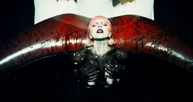 File:2-11-12 Steven Klein 011.jpg