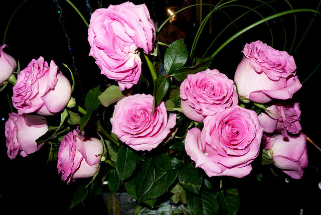 File:4-2-14 Terry Richardson 008.jpg