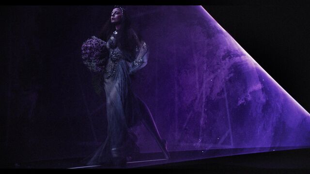 File:Applause Music Video 059.jpg