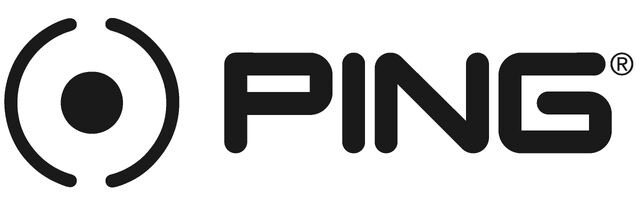 File:PING - Logo.jpg