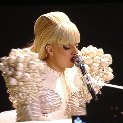 File:1-22-13 Inauguration concert 003.jpg
