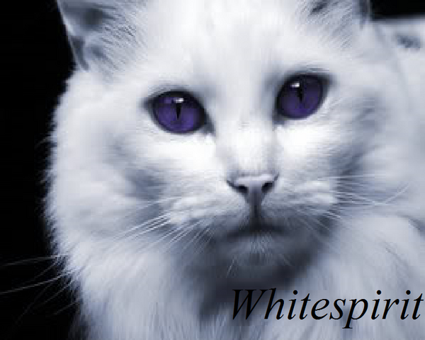 File:Whitespirit.png