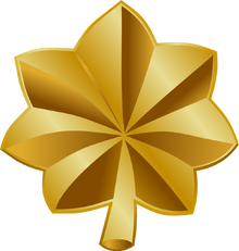 Major insignia